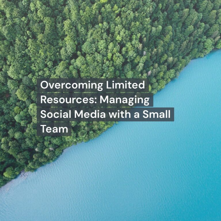 Overcoming Limited Resources: Managing Social Media with a Small Team