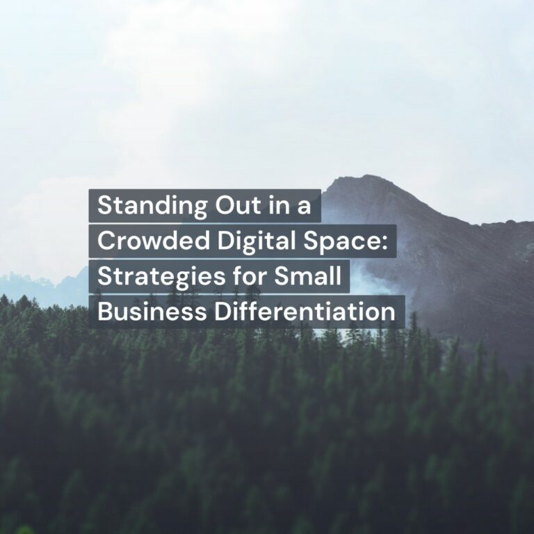 Standing Out in a Crowded Digital Space: Strategies for Small Business Differentiation