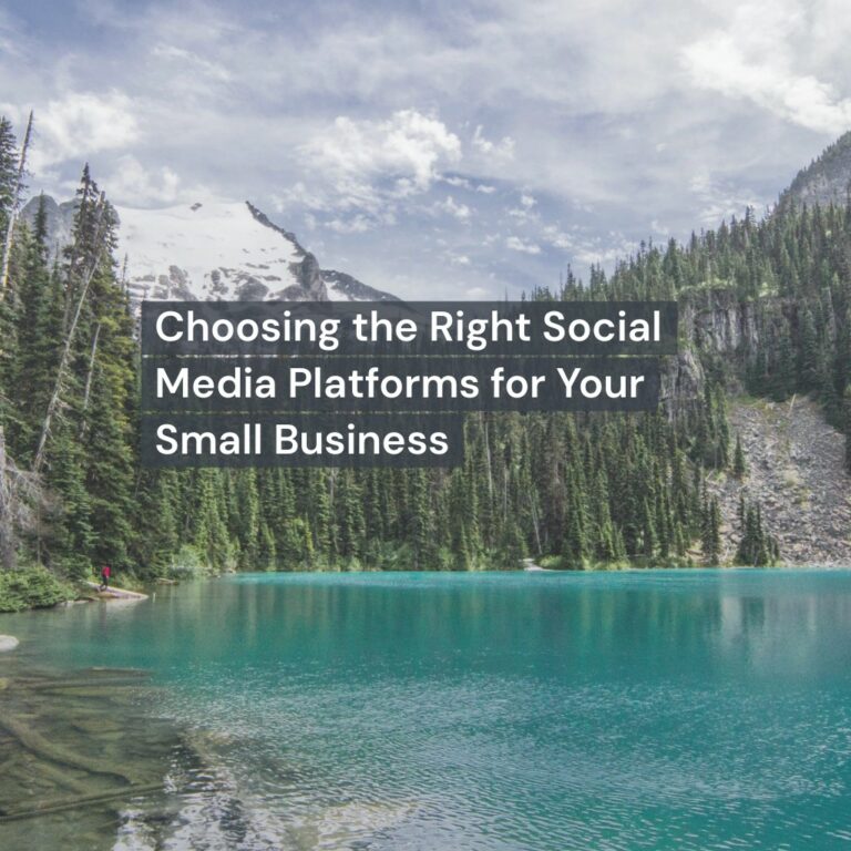Choosing the Right Social Media Platforms for Your Small Business
